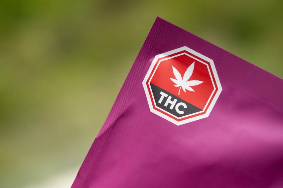 Regulatory Challenges in the Cannabis Industry