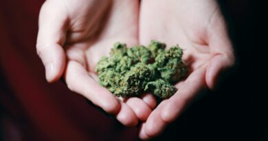 Unlocking Cannabis: New Health Insights