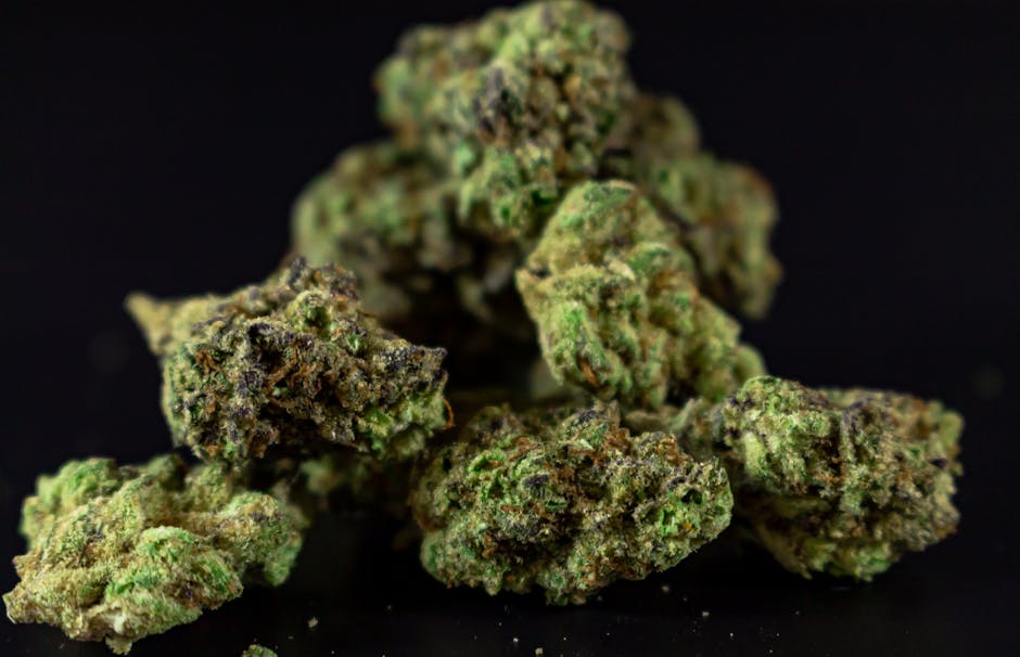The Therapeutic Effects of Cannabinoids Explained