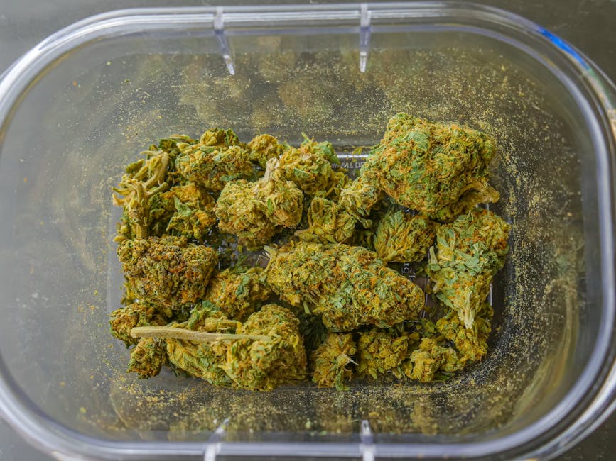 Finding the Right Cannabis Dispensary Near You