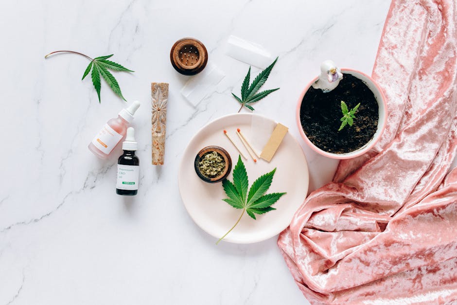 Navigating the Legalities of Medical Cannabis
