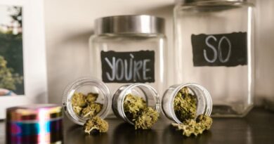 Navigating the Legalities of Medical Cannabis