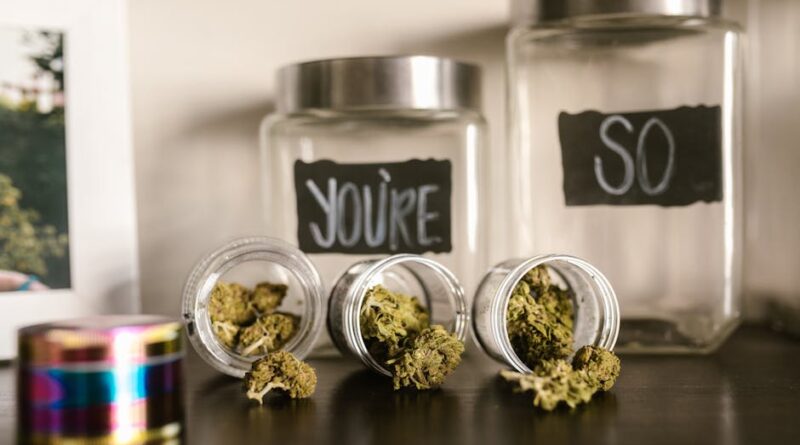 Navigating the Legalities of Medical Cannabis