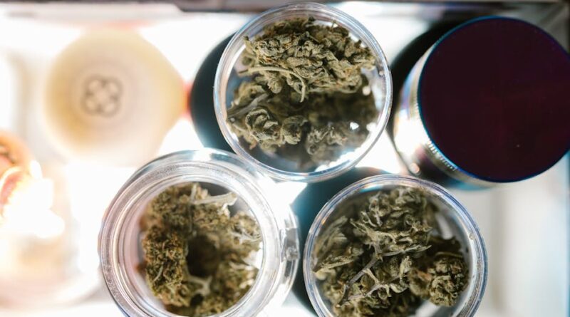 Finding the Right Cannabis Dispensary Near You