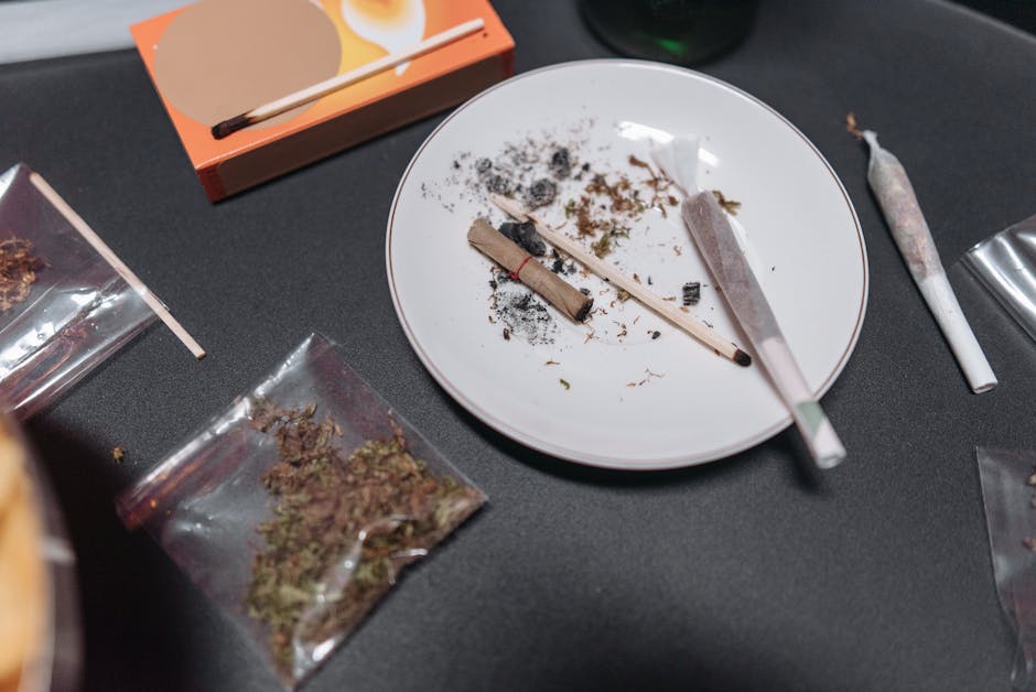 Navigating the Legalities of Medical Cannabis