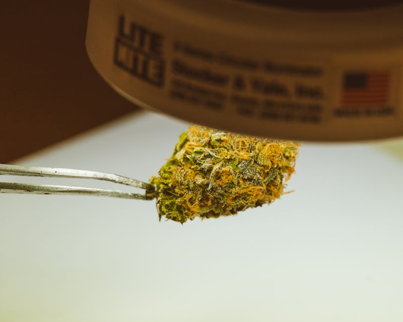 Regulatory Challenges in the Cannabis Industry
