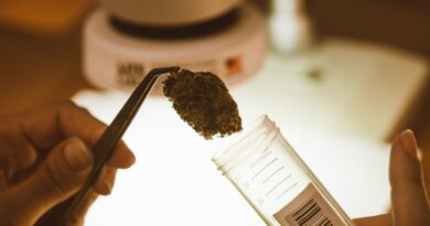 The Importance of Lab Testing Cannabis Products