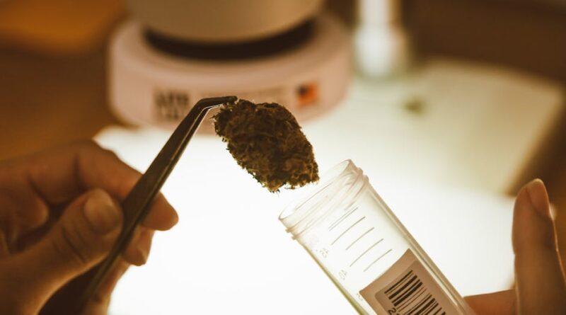 The Importance of Lab Testing Cannabis Products