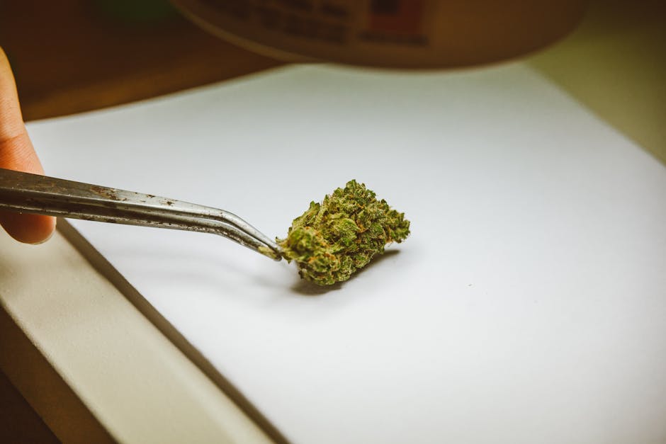 Finding the Right Cannabis Dispensary Near You