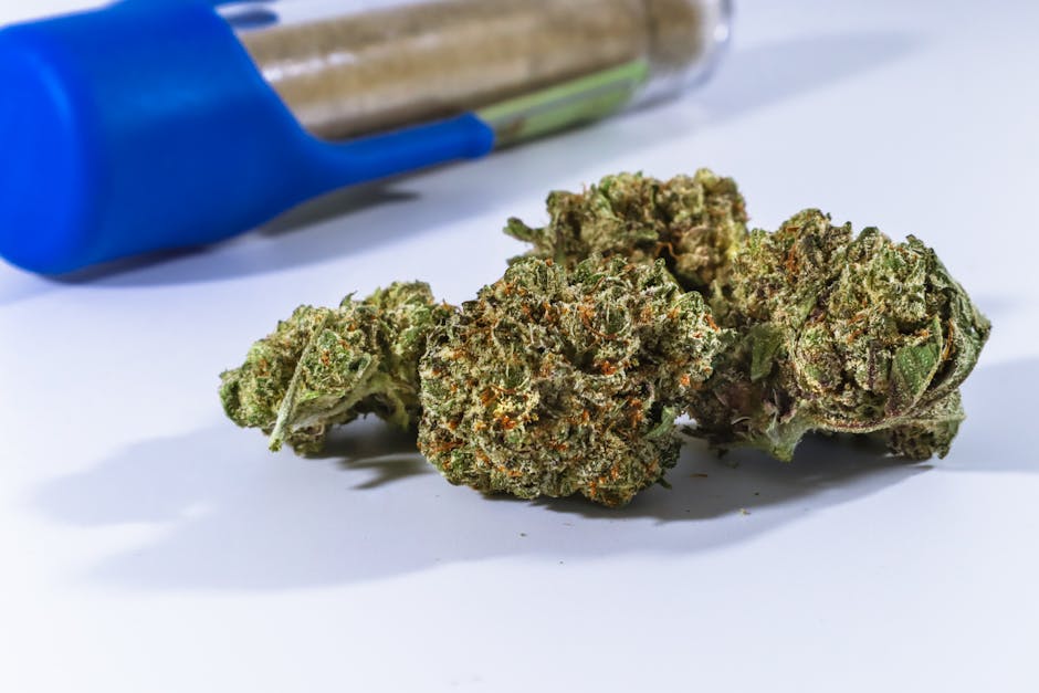 The Benefits of Sativa vs. Indica Strains