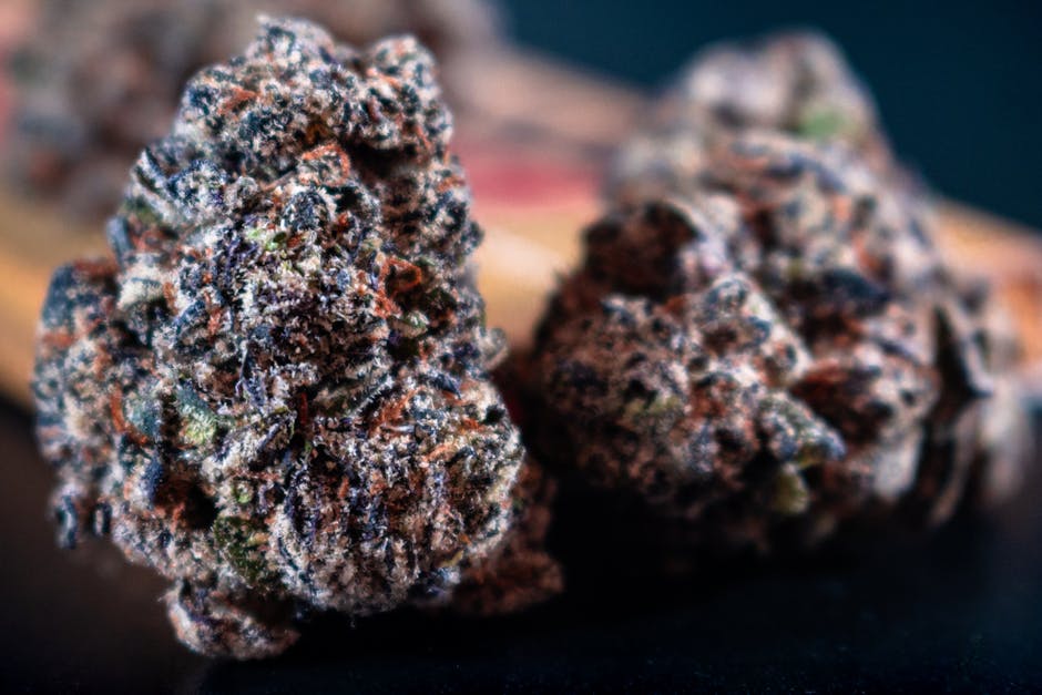 The Benefits of Sativa vs. Indica Strains