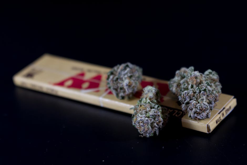 The Benefits of Sativa vs. Indica Strains