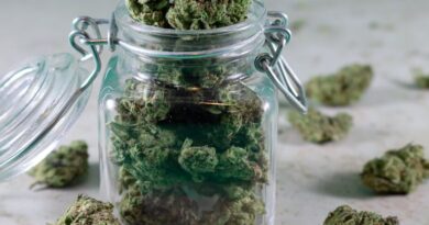 The Benefits of Sativa vs. Indica Strains
