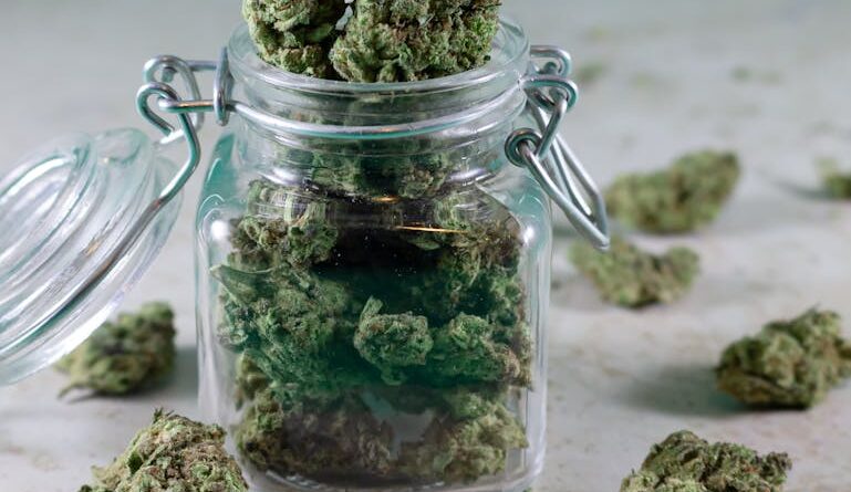 The Benefits of Sativa vs. Indica Strains