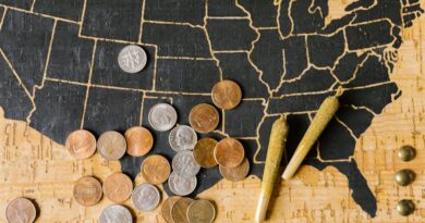 How Regulatory Changes Impact Cannabis Usage