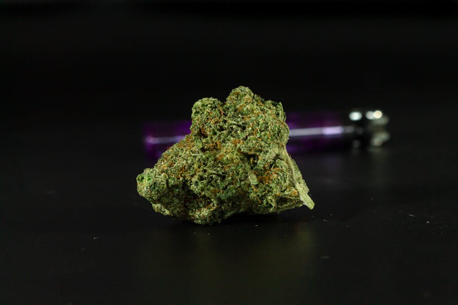 The Benefits of Sativa vs. Indica Strains